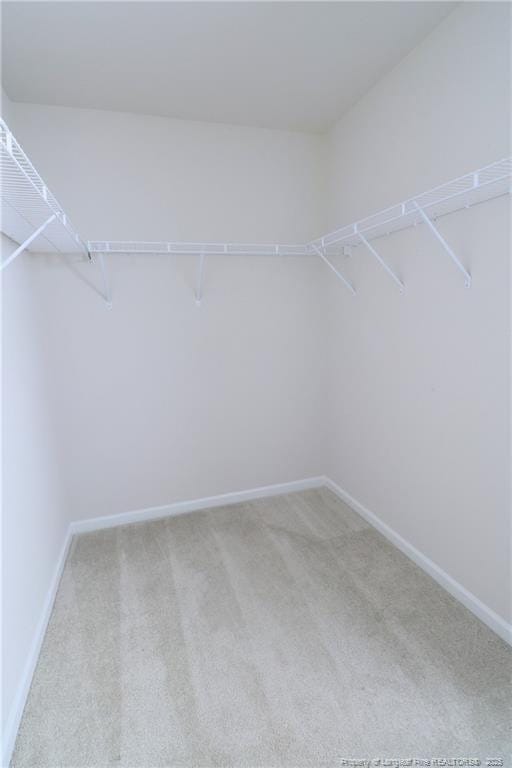 96 Cutty Way, Lillington, NC 27546 - spacious closet with carpet flooring
