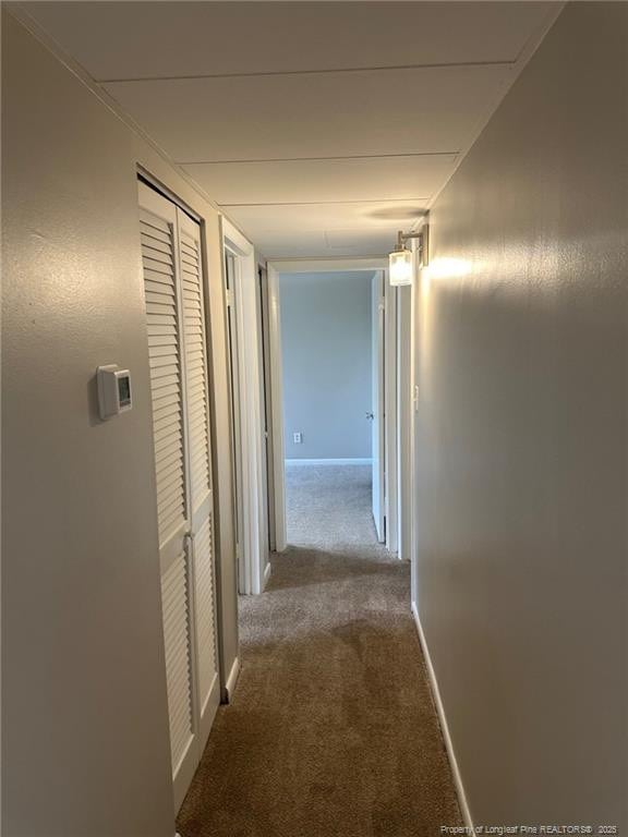 1100 Clarendon St Unit 408, Fayetteville, NC 28305 - photo 6
