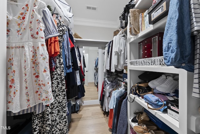 175 Stonecrest Way, Pittsboro, NC 27312 - view of walk in closet
