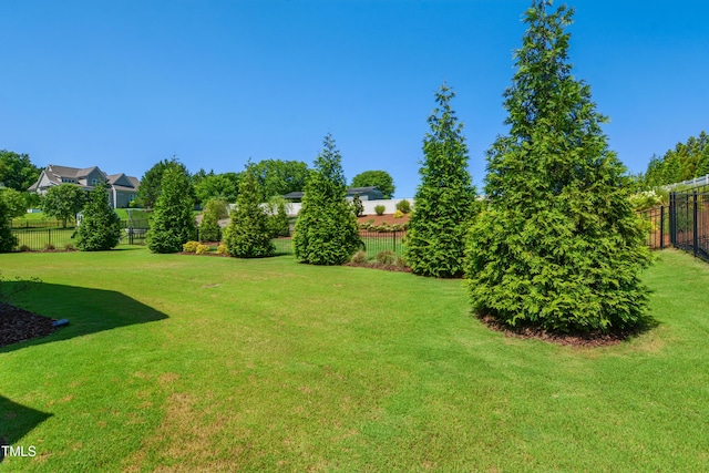 241 Teague St, Wake Forest, NC 27587 - view of yard