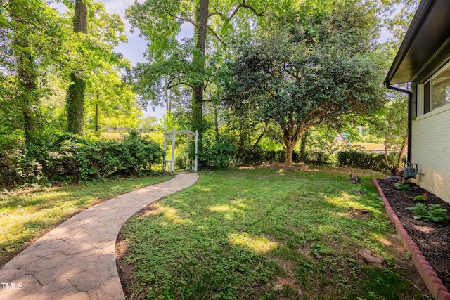 944 Athens Dr, Raleigh, NC 27606 - view of green lawn