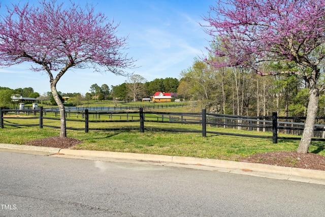 83 Calabria Ct, Clayton, NC 27527 - photo 66