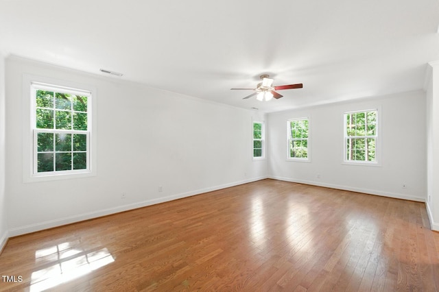 83 Calabria Ct, Clayton, NC 27527 - photo 40