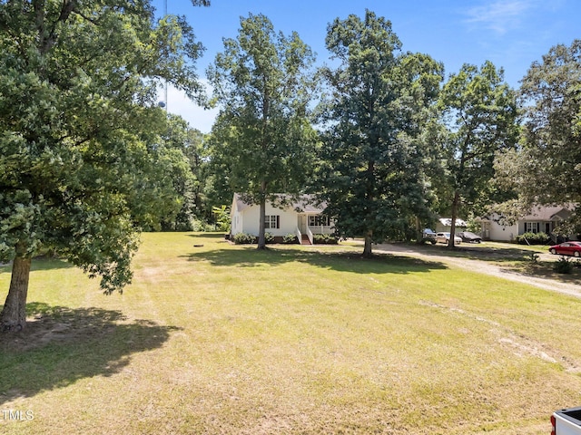 119 Percheron Dr, Zebulon, NC 27597 - view of grassy yard with driveway