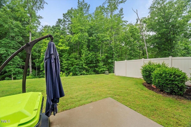 3215 Retama, New Hill, NC 27562 - photo 54
