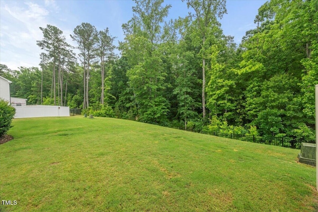3215 Retama, New Hill, NC 27562 - photo 57