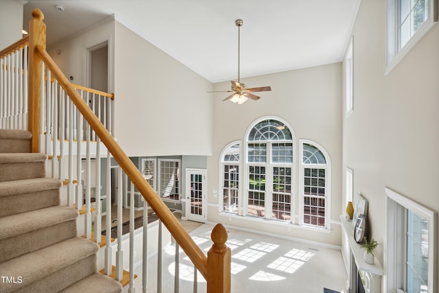 5940 Dahlberg Dr, Raleigh, NC 27603 - stairs featuring ceiling fan, ornamental molding, a high ceiling, and carpet
