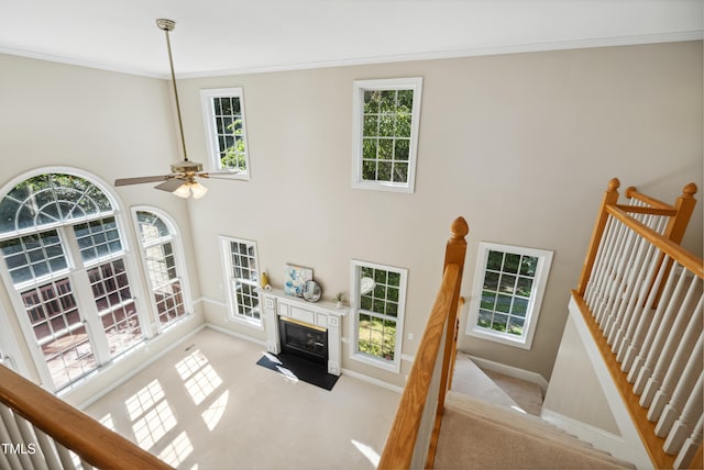 5940 Dahlberg Dr, Raleigh, NC 27603 - living area with light carpet, healthy amount of natural light, crown molding, and a towering ceiling