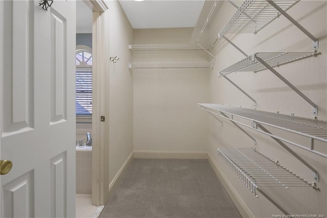 223 Devane St, Fayetteville, NC 28305 - spacious closet featuring carpet