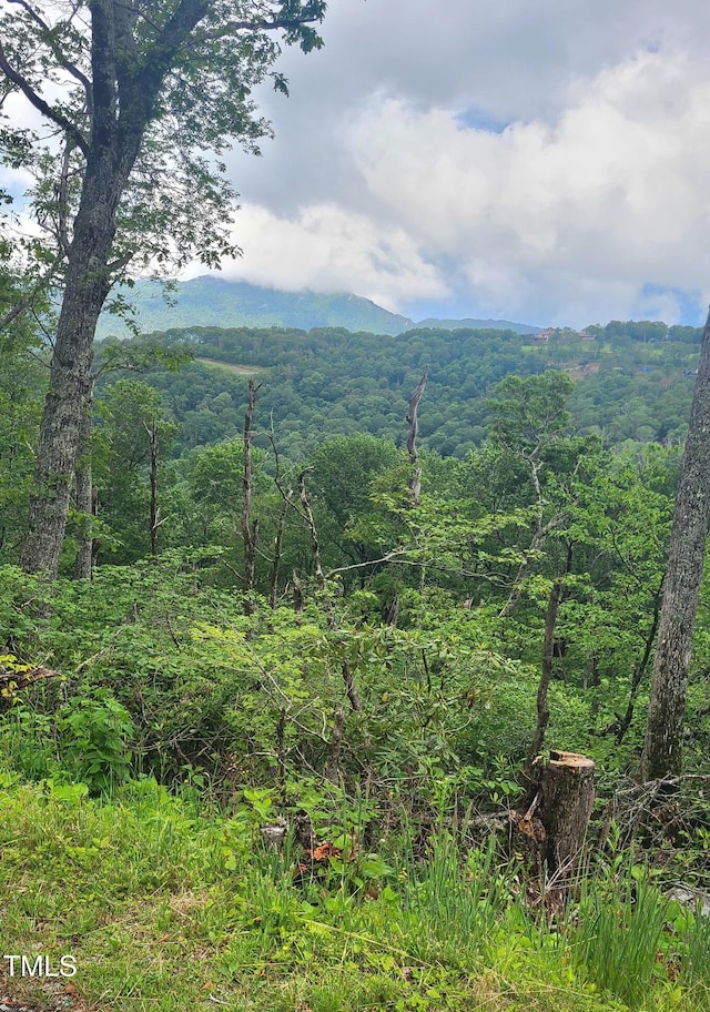 266 Little Sugar Ln, Sugar Mountain, NC 28604