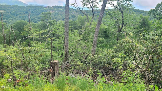 266 Little Sugar Ln, Sugar Mountain, NC 28604
