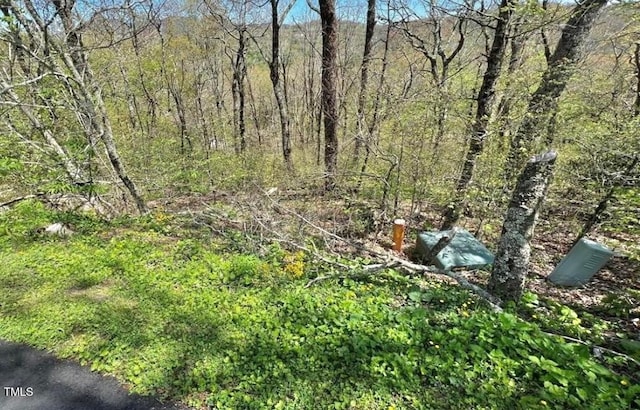 266 Little Sugar Ln, Sugar Mountain, NC 28604
