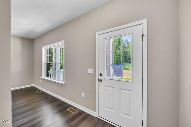 3013 Wesley Farm Ln, Sophia, NC 27350 - entryway featuring plenty of natural light and dark wood-style flooring
