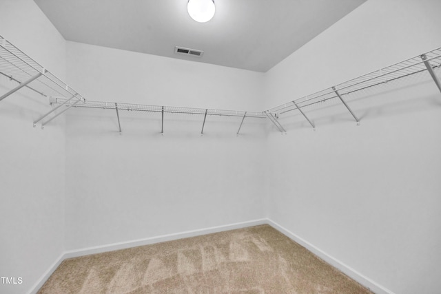 3013 Wesley Farm Ln, Sophia, NC 27350 - spacious closet featuring carpet flooring