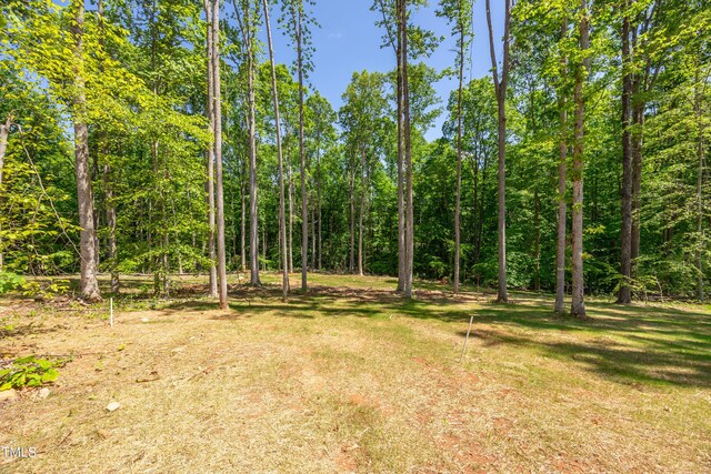 3013 Wesley Farm Ln, Sophia, NC 27350 - view of nature