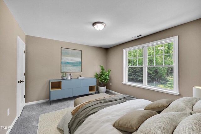 3013 Wesley Farm Ln, Sophia, NC 27350 - carpeted bedroom featuring baseboards