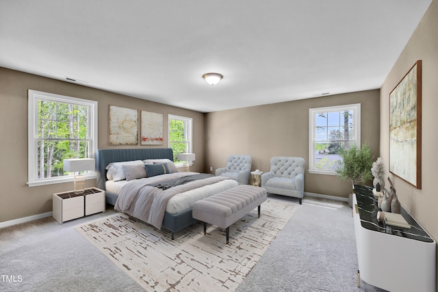 3013 Wesley Farm Ln, Sophia, NC 27350 - carpeted bedroom featuring multiple windows