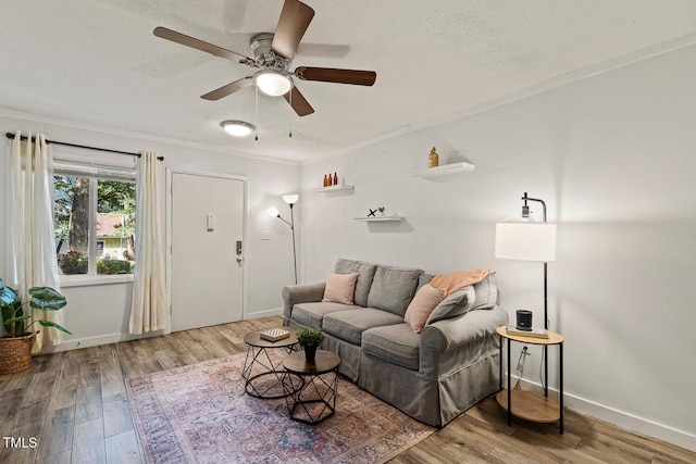 7002 Longstreet Dr Unit C, Raleigh, NC 27615 - living room featuring wood finished floors, a textured ceiling, ceiling fan, and ornamental molding