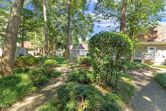7002 Longstreet Dr Unit C, Raleigh, NC 27615 - view of yard