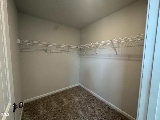 5428 Jaeger Dr Lot # 45, Graham, NC 27253 - spacious closet featuring dark colored carpet