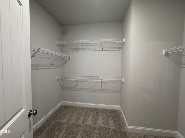 5428 Jaeger Dr Lot # 45, Graham, NC 27253 - walk in closet featuring carpet