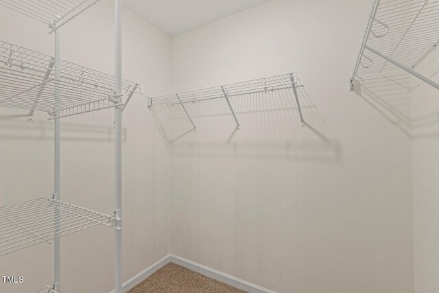 553 Sturgeon St, Smithfield, NC 27577 - photo 20