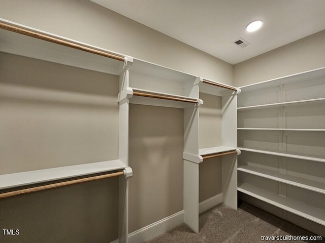 5545 Silk Hope Gum Springs Rd, Siler City, NC 27344 - spacious closet featuring carpet