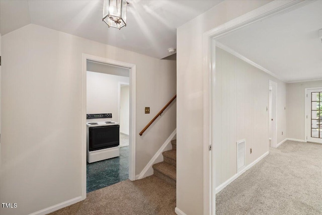 3317 Harden Rd, Raleigh, NC 27607 - photo 38