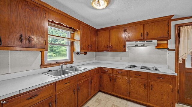 3701 Oak Grove Church Rd, Mebane, NC 27302 - kitchen with under cabinet range hood, white electric cooktop, light countertops, brown cabinetry, and a textured ceiling