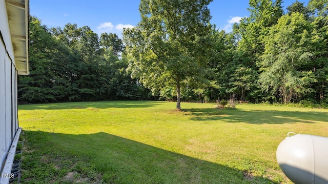 3701 Oak Grove Church Rd, Mebane, NC 27302 - view of green lawn
