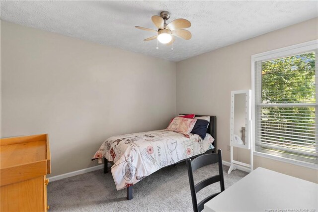 6013 Towhee St, Fayetteville, NC 28304 - photo 21