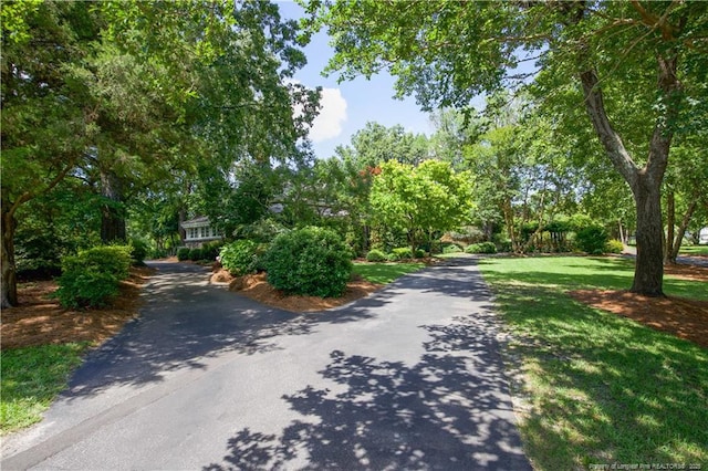 200 Cameron Ave, Vass, NC 28394 - photo 29