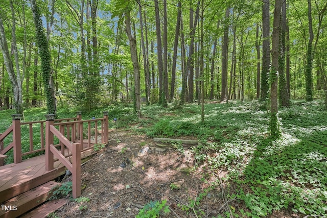 1607 Sycamore Dr, Garner, NC 27529 - photo 29