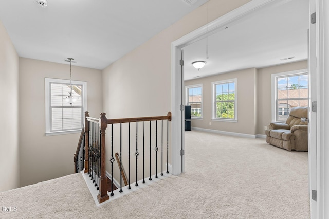 2120 Rainy Lake St, Wake Forest, NC 27587 - photo 24