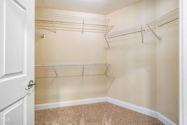 2129 Glade Valley Ln, Morrisville, NC 27560 - walk in closet with carpet floors