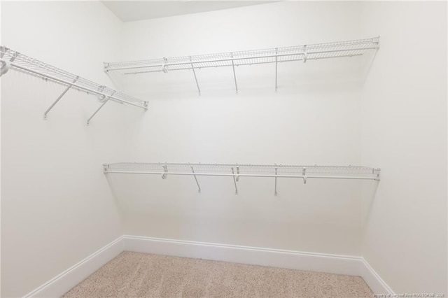3310 Starboard Way Unit 301, Fayetteville, NC 28314 - spacious closet with carpet floors