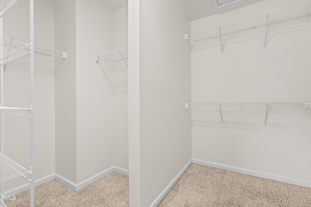 2507 Princewood St, Raleigh, NC 27612 - photo 21