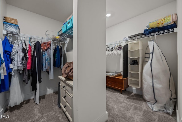 22 Combine Trl, Benson, NC 27504 - spacious closet with carpet floors