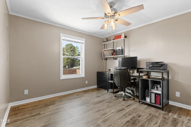10 Wilders Ln, Louisburg, NC 27549 - office area with wood finished floors, ornamental molding, and a ceiling fan
