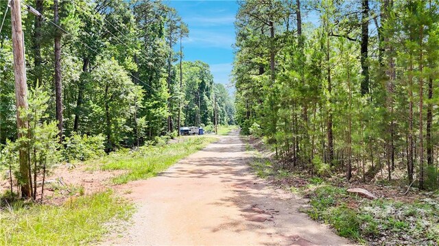 Winding Creek Dr, Carthage, NC 28327 - photo 6