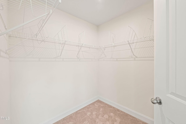 1137 Amber Shadow Dr, Durham, NC 27703 - spacious closet with carpet
