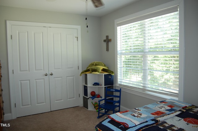 2471 Golden Forest Dr, Franklinton, NC 27525 - carpeted bedroom featuring a closet and multiple windows