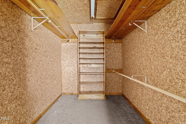 1402 Tarleton Ave, Burlington, NC 27215 - walk in closet featuring carpet floors