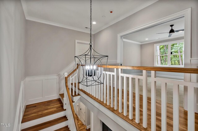 503 Damascus Church Rd, Chapel Hill, NC 27516 - photo 37
