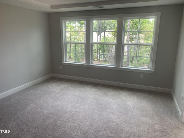 1524 Chirping Bird Ct, Cary, NC 27519 - photo 22