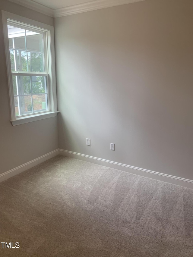 1524 Chirping Bird Ct, Cary, NC 27519 - photo 31