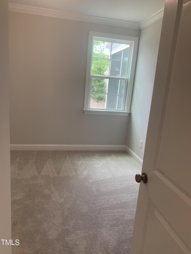 1524 Chirping Bird Ct, Cary, NC 27519 - photo 20