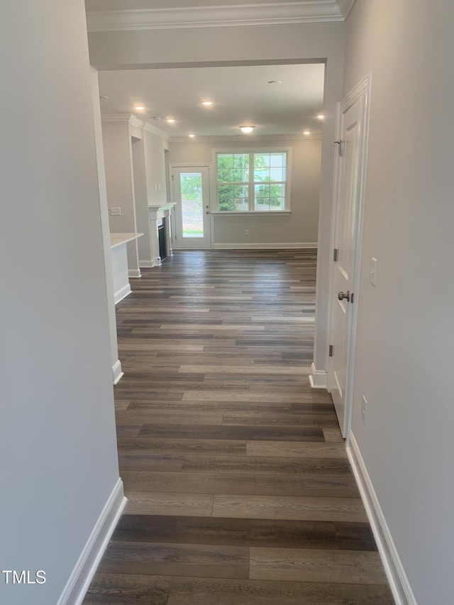 1524 Chirping Bird Ct, Cary, NC 27519 - photo 18