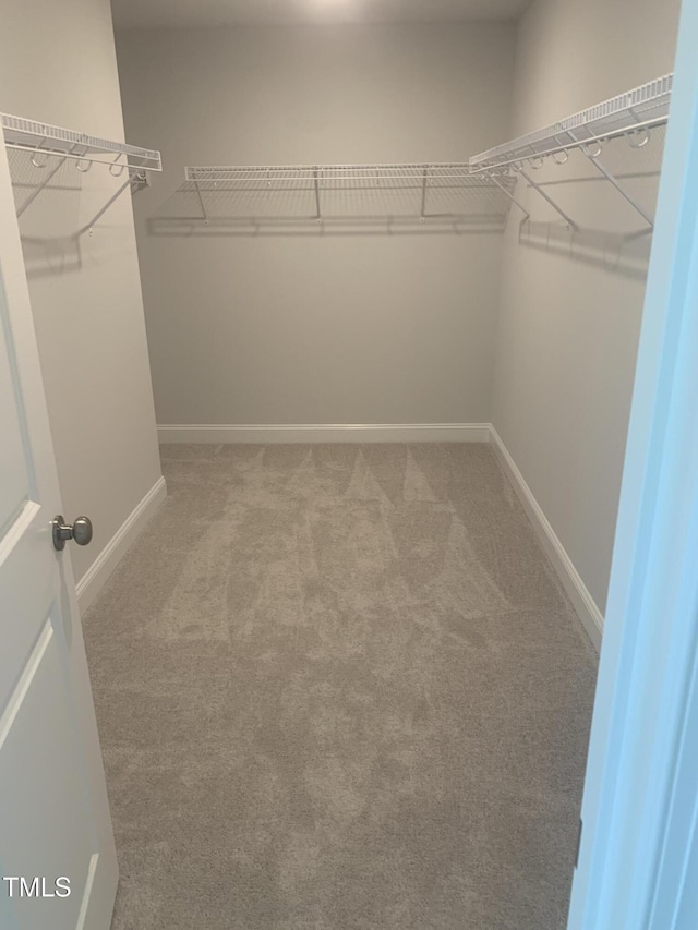 1524 Chirping Bird Ct, Cary, NC 27519 - photo 29