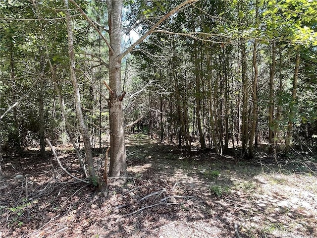 0 Henschel Ln, Broadway, NC 27505